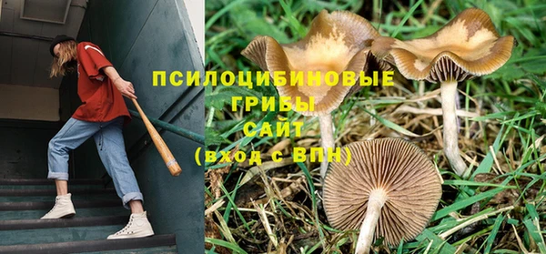 МДПВ Зерноград